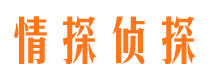 酉阳找人公司